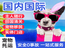 天吉泰机场快运国际宠物托运 【国